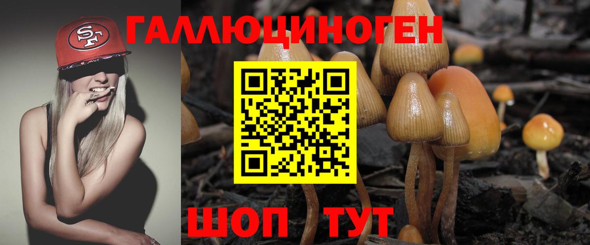 Псилоцибиновые грибы Psilocybe  Вход с VPN  Калуга 
